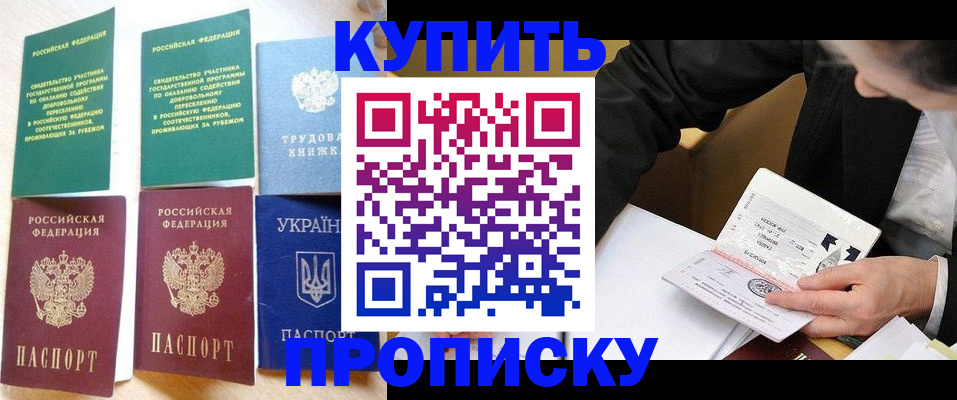 прописка для школы в Галиче